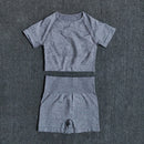 Seamless Women Yoga Set Crop Top Short Sleeve Shirt Fitness Shorts Workout Clothes For Women Gym Clothing Yoga Sport Set